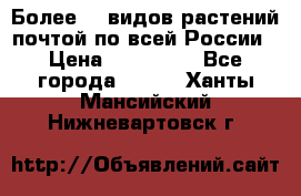 Более200 видов растений почтой по всей России › Цена ­ 100-500 - Все города  »    . Ханты-Мансийский,Нижневартовск г.